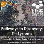 NExUS-Professional Development Workshop: Pathways to Discovery: Tin Systems