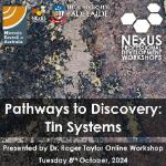NExUS-Professional Development Workshop: Pathways to Discovery: Tin Systems 2024